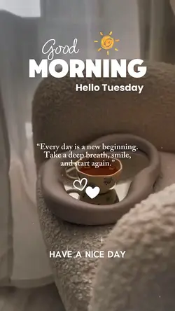 Hello Tuesday 🌞