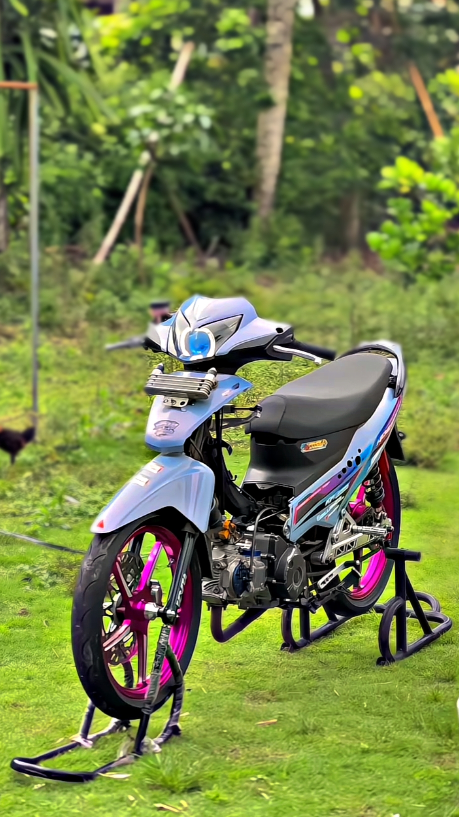 Cover Picture