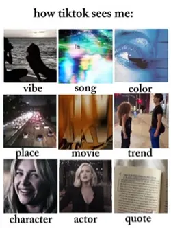 HOW TIKTOK SEES ME