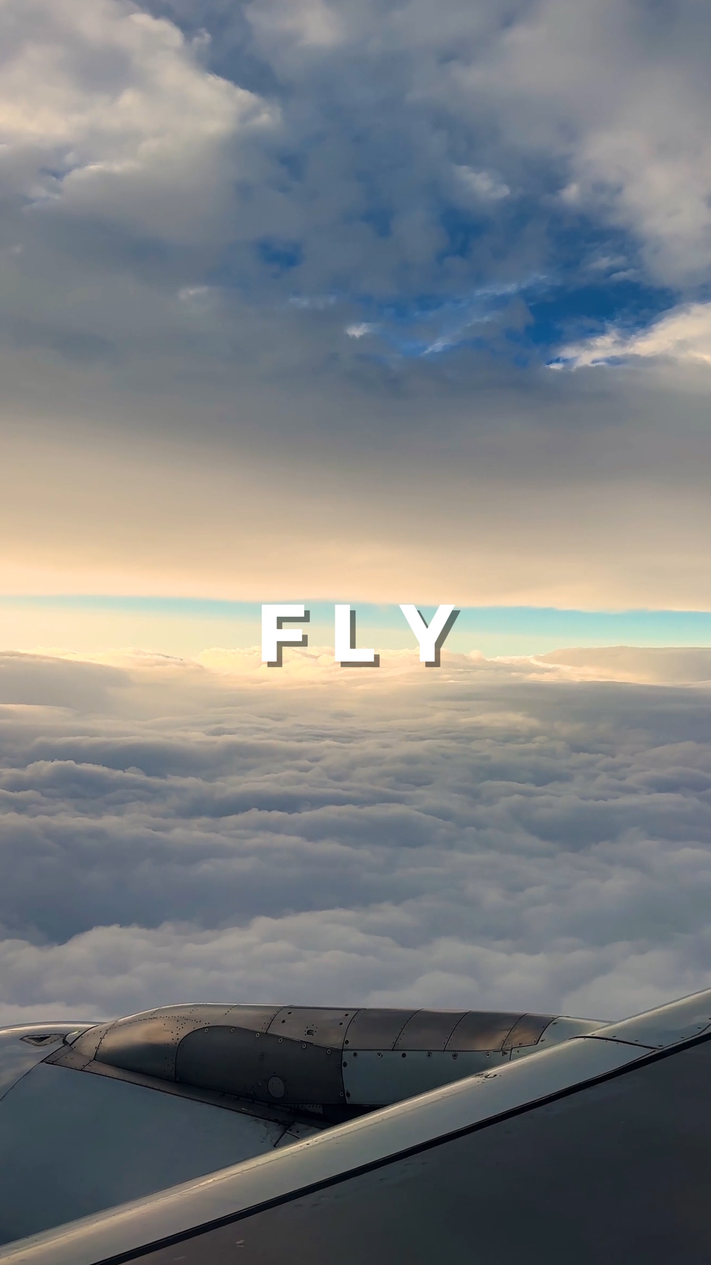 Fly flight