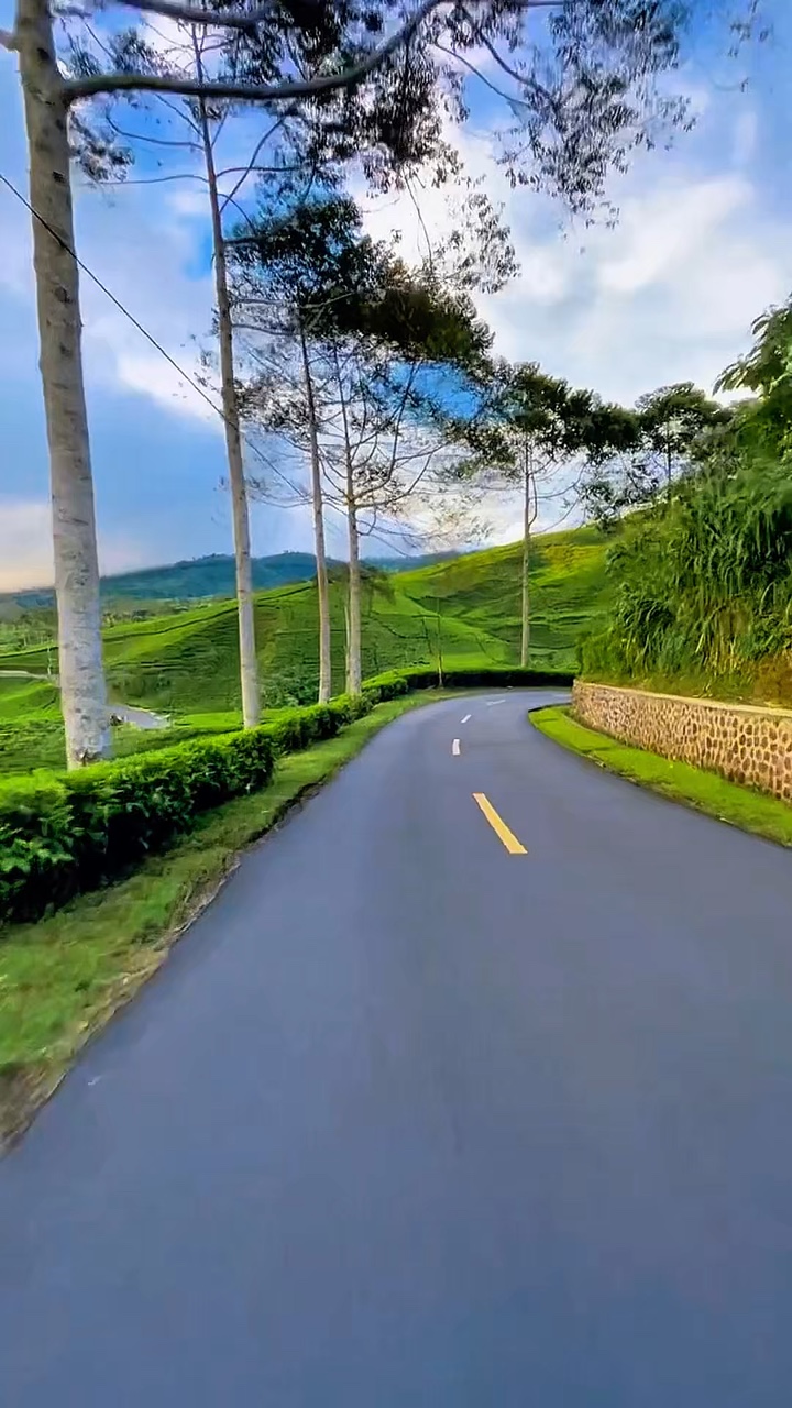 5 klip filter video