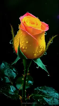 #felicidades mujeres