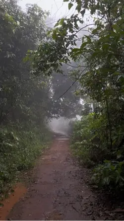 ยินดีต้อนรับสู้ฤดูฝน