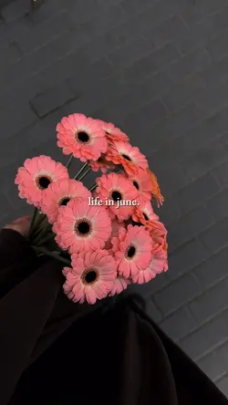 life in june