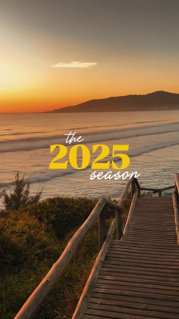 2025 요약