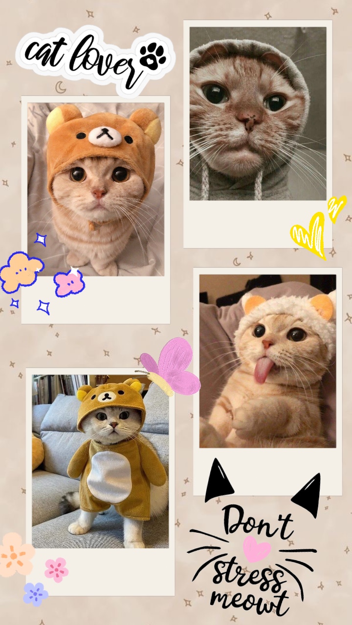 Cute Template