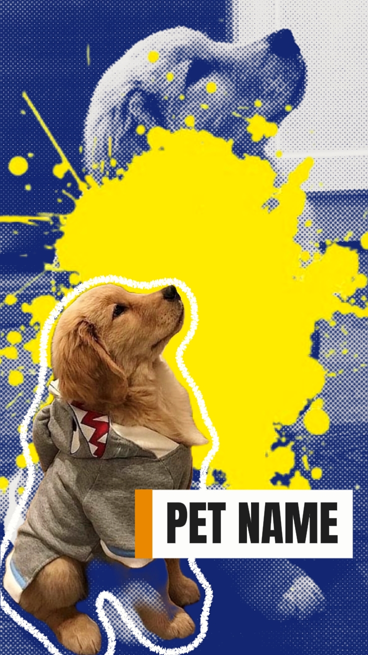 pet intro