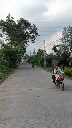 Bajidoran |