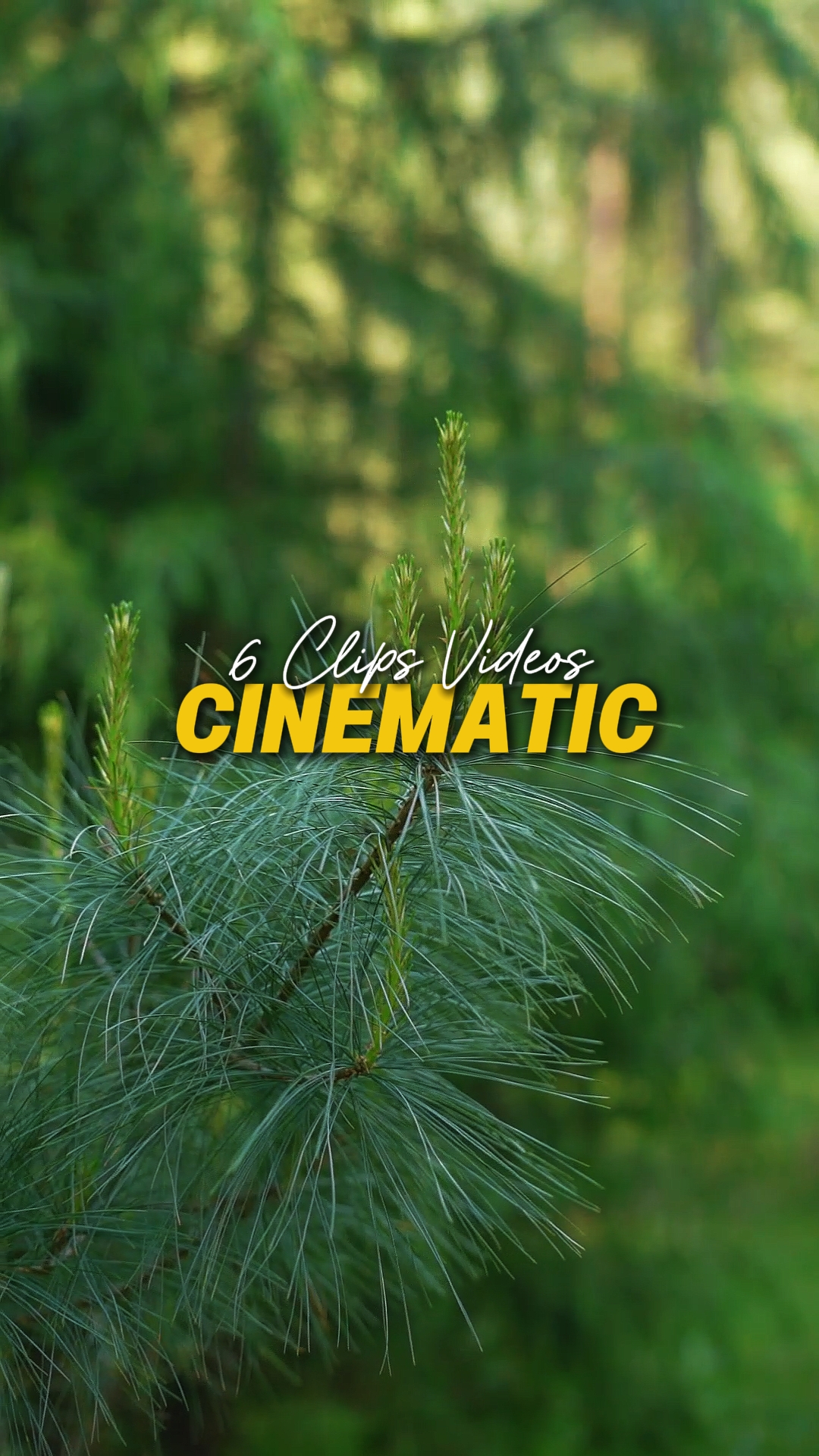 Cinematic 6 Videos