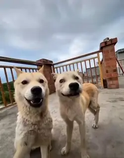 🤪🤍