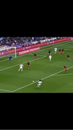 marcelo edit skill