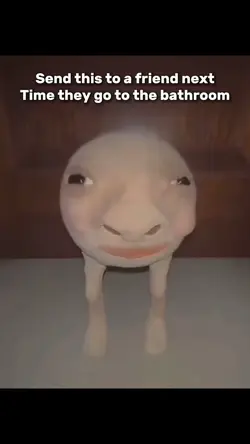 I know ur pooping