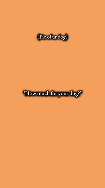 Perro