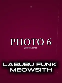 LABUBU FUNK