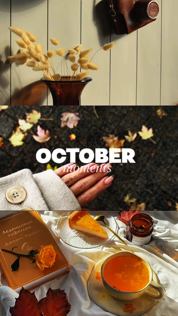 Moments d'OCTOBRE 
