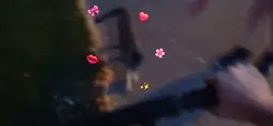 rip le chat