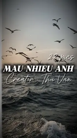MÃU NHIỀU ẢNH 