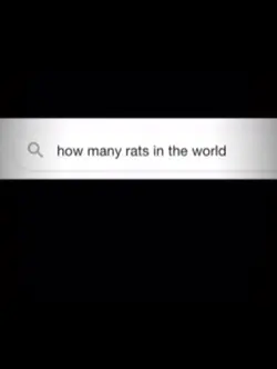My rat ❤️ 