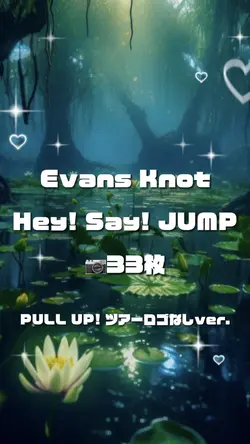 📷33枚 Evans Knot ロゴなし