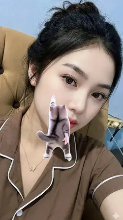 Stiker kucing