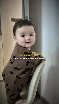 Hài hài ngố ngố