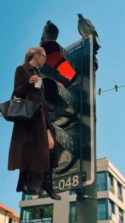 cutout