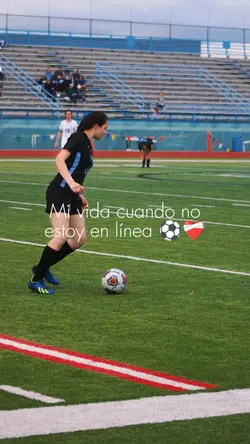 Mi mundo