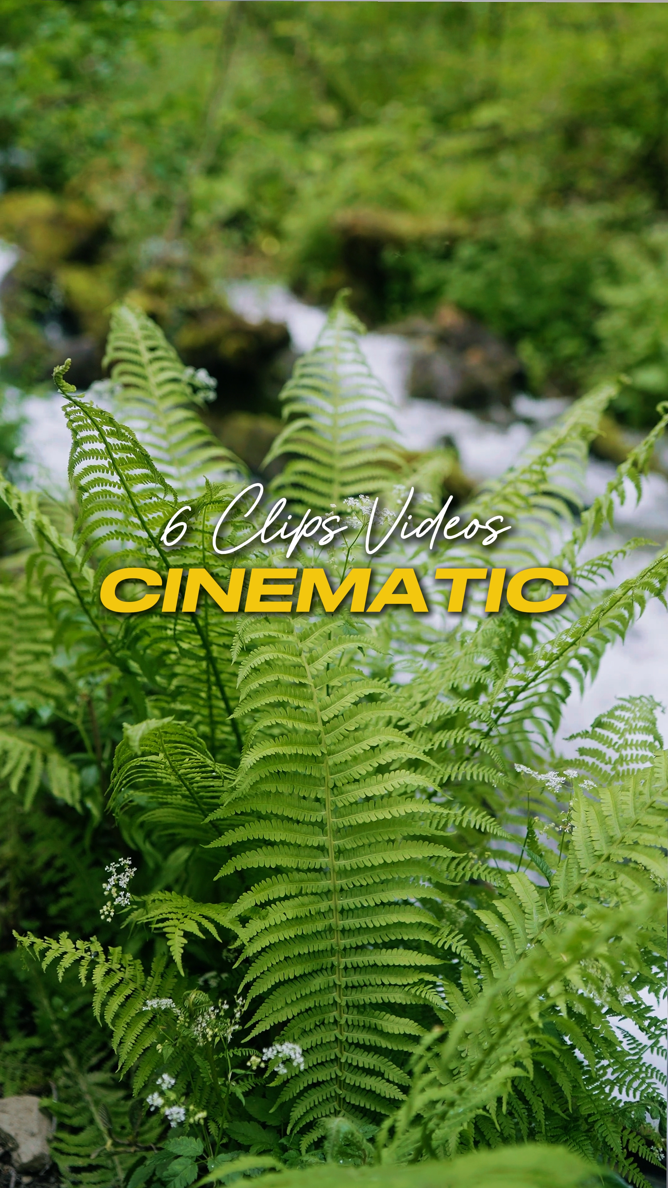 Cinematic 6 Videos