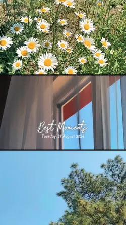 3VIDEO