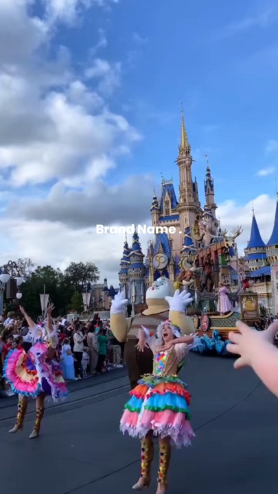 disneyland trip