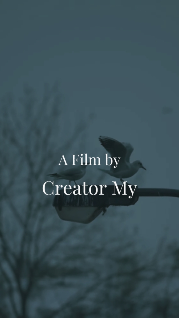Film Pendek