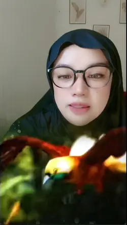 cendrawasih rajampat