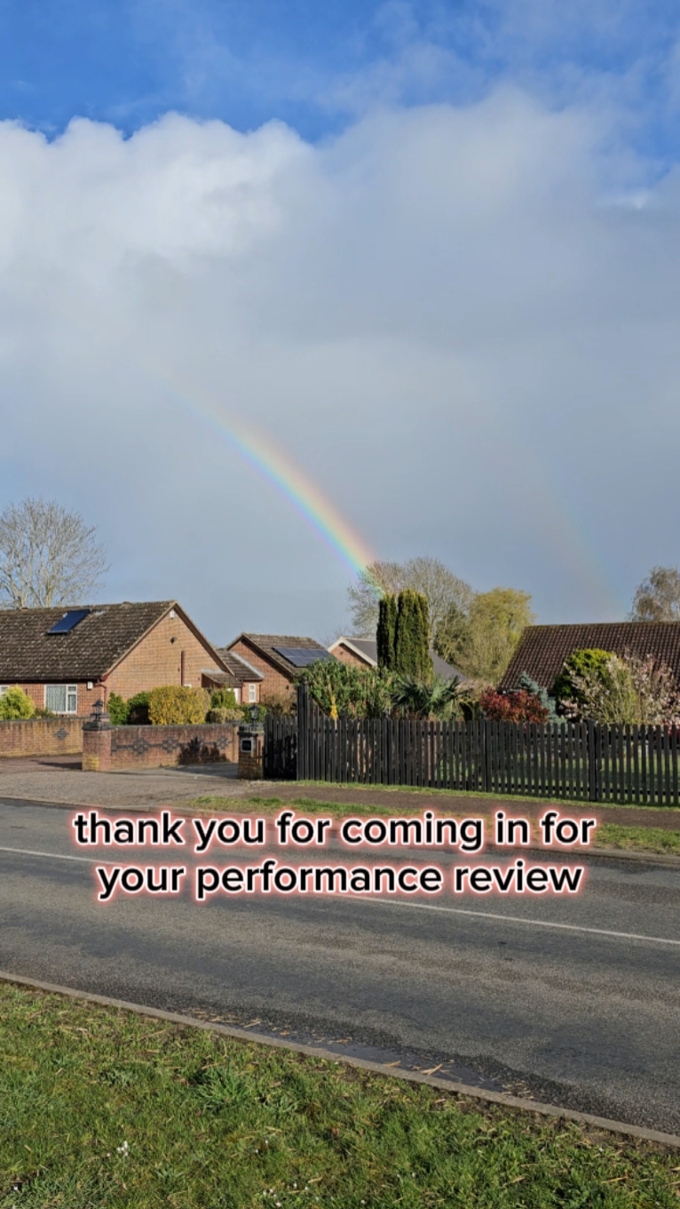 dog performance 