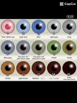 Eye color