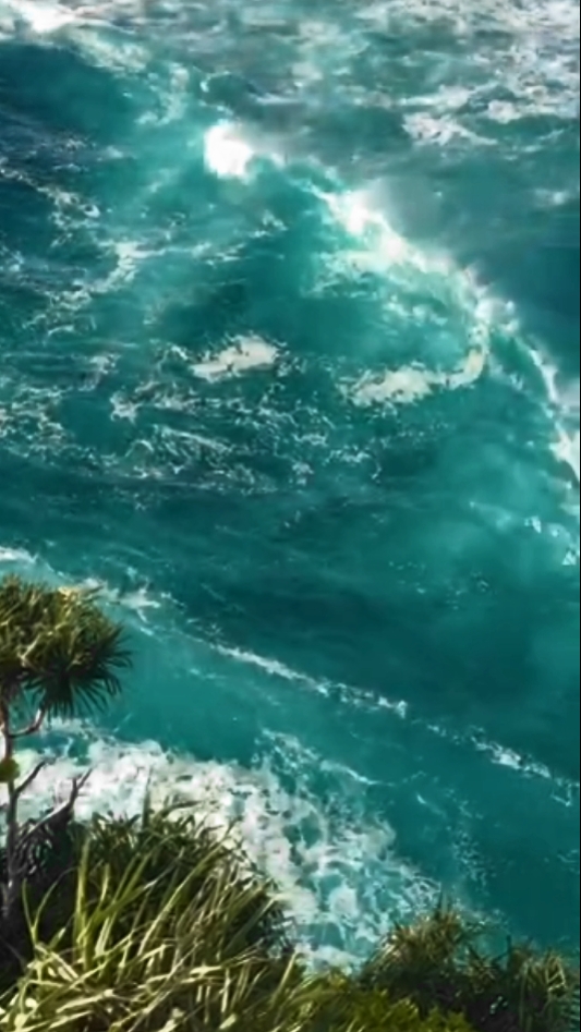 40 video / foto