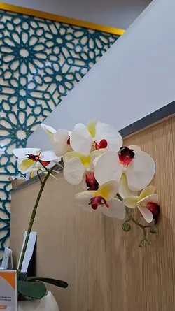 aesthetic 7 video