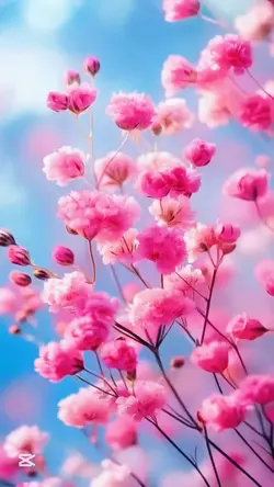 3Dwallpape