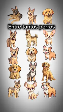 Mi perro favorito 