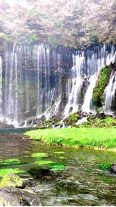 Naturaleza