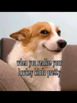 Lowkeykindapretty