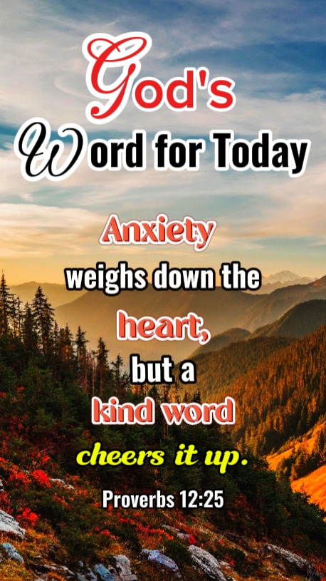 Provérbios 12: 25