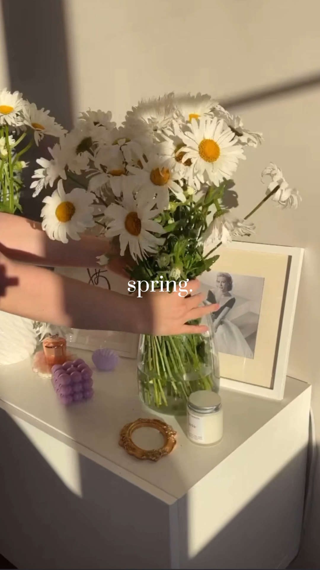 Primavera💐