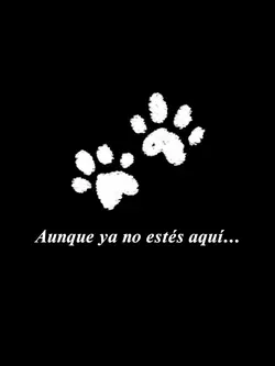 Día del muerto