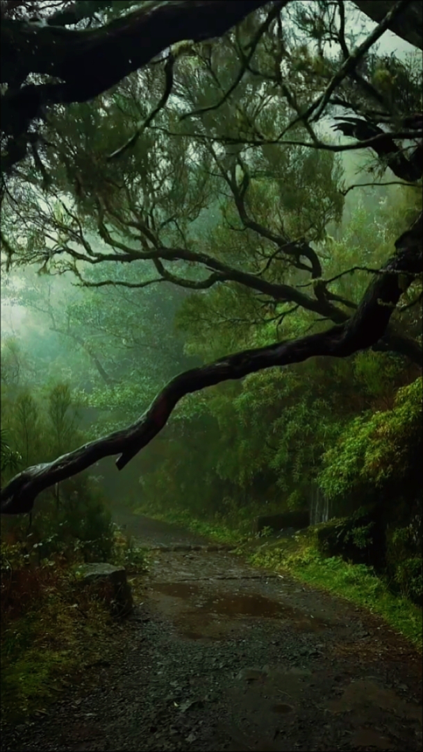 Nature • Cinematic
