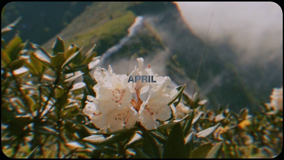 VLOG DUMP APRIL