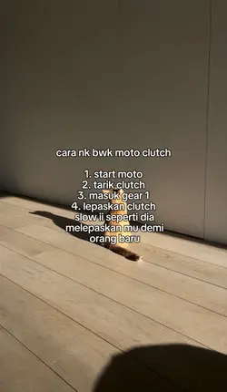 motor clutch