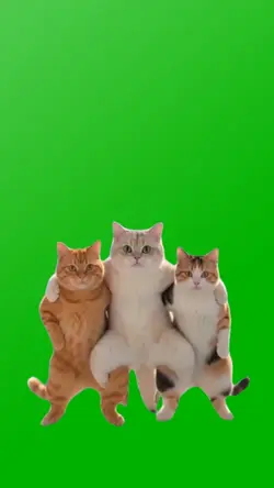 GENTLECAT DANCE MEME