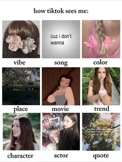 how tiktok sees me