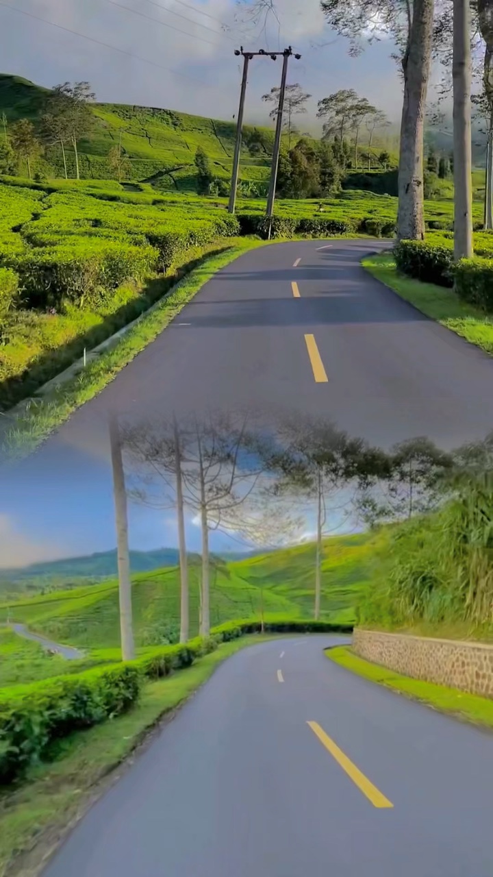 2 videos 1 fotograma