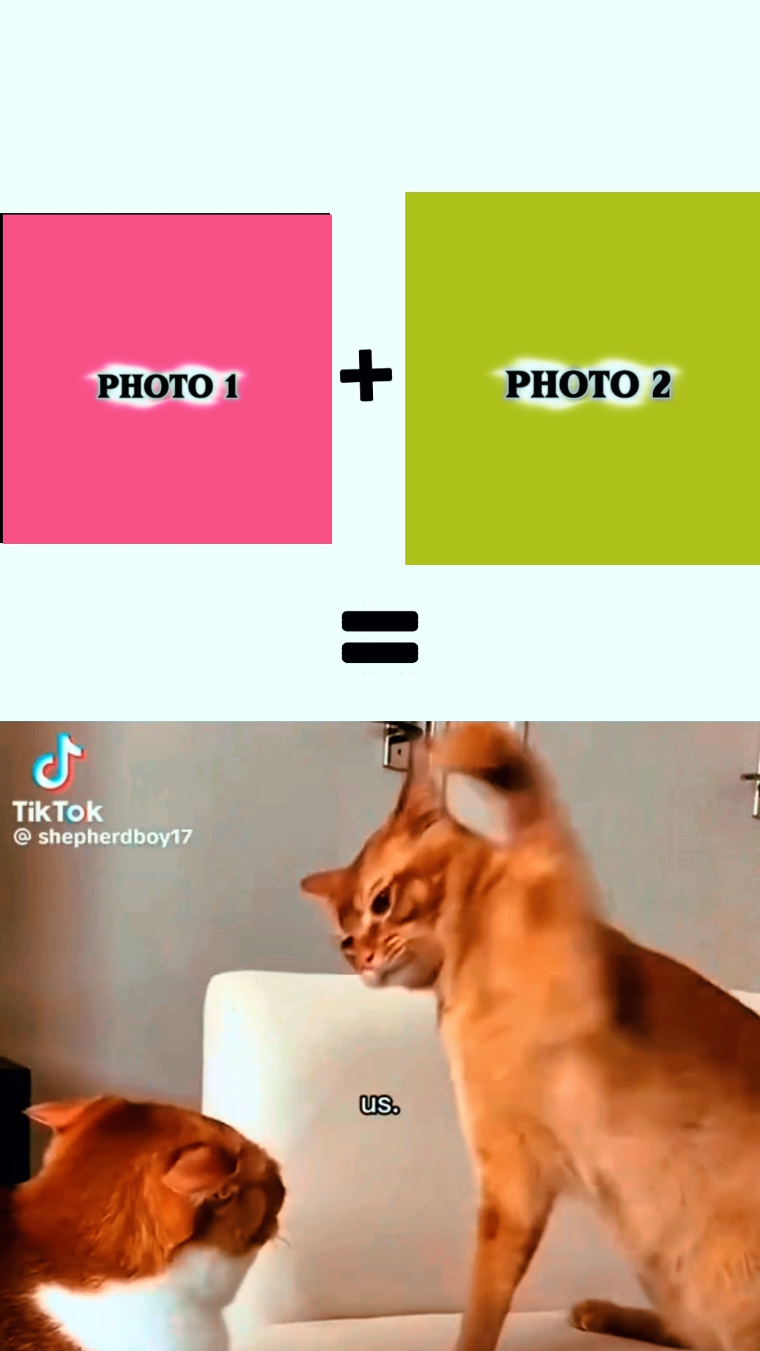 NEW EDIT MASTER